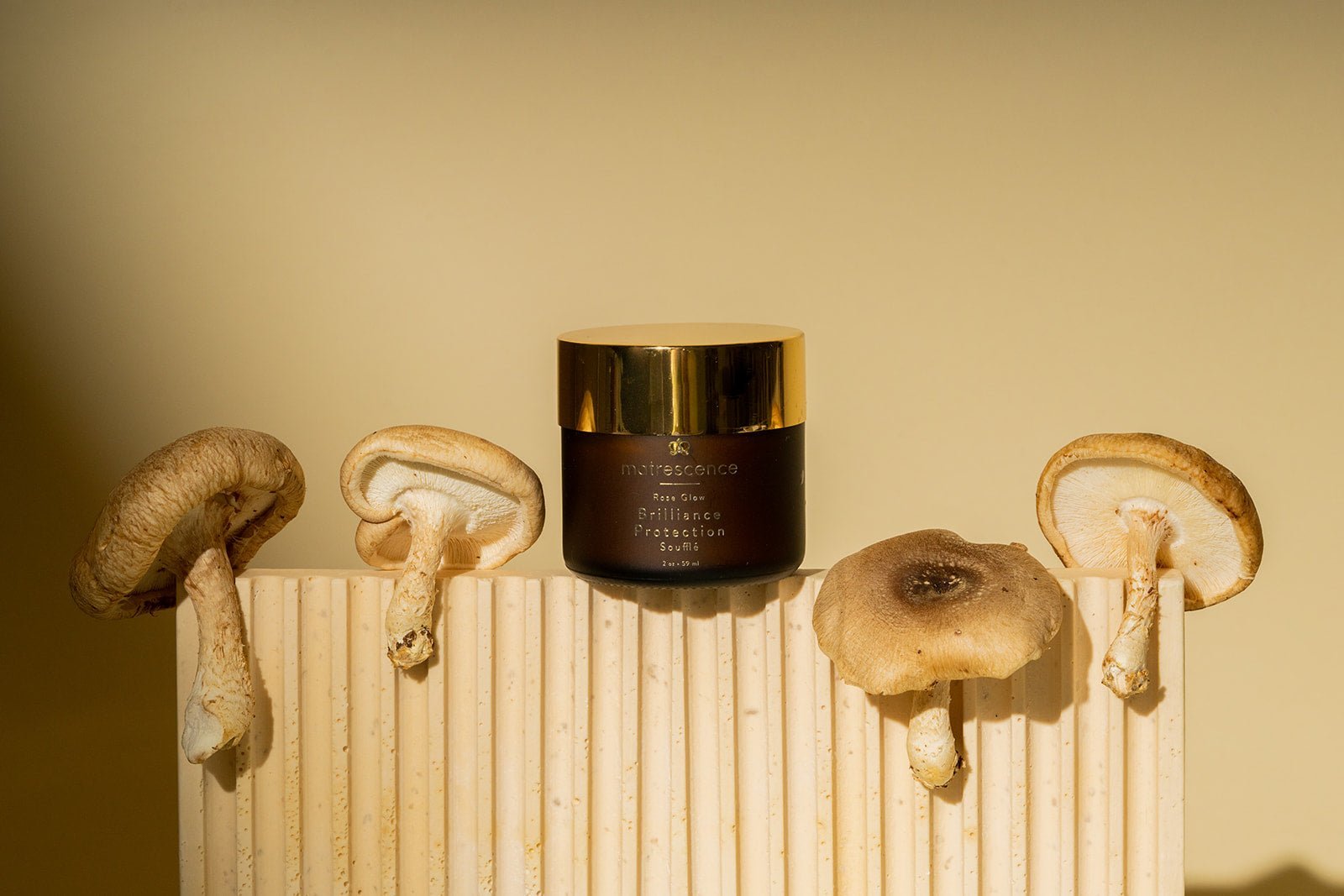 Pregnancy Skincare Ingredient Spotlight: Mushroom Extract - Matrescence